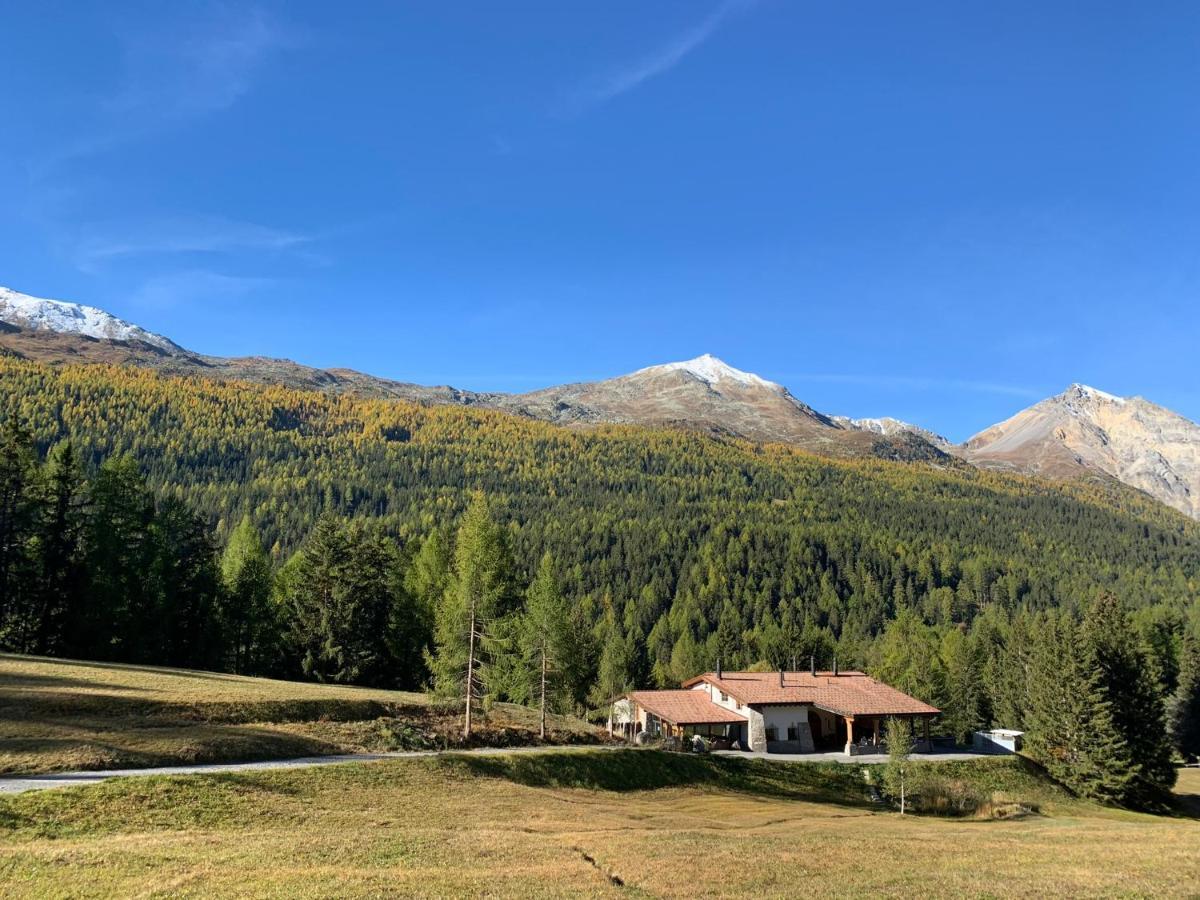 Chasa Al Battaporta Hotell Tschierv Exteriör bild